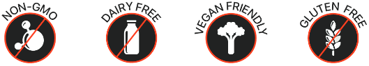 non gmo dairy free vegan friendly gluten free